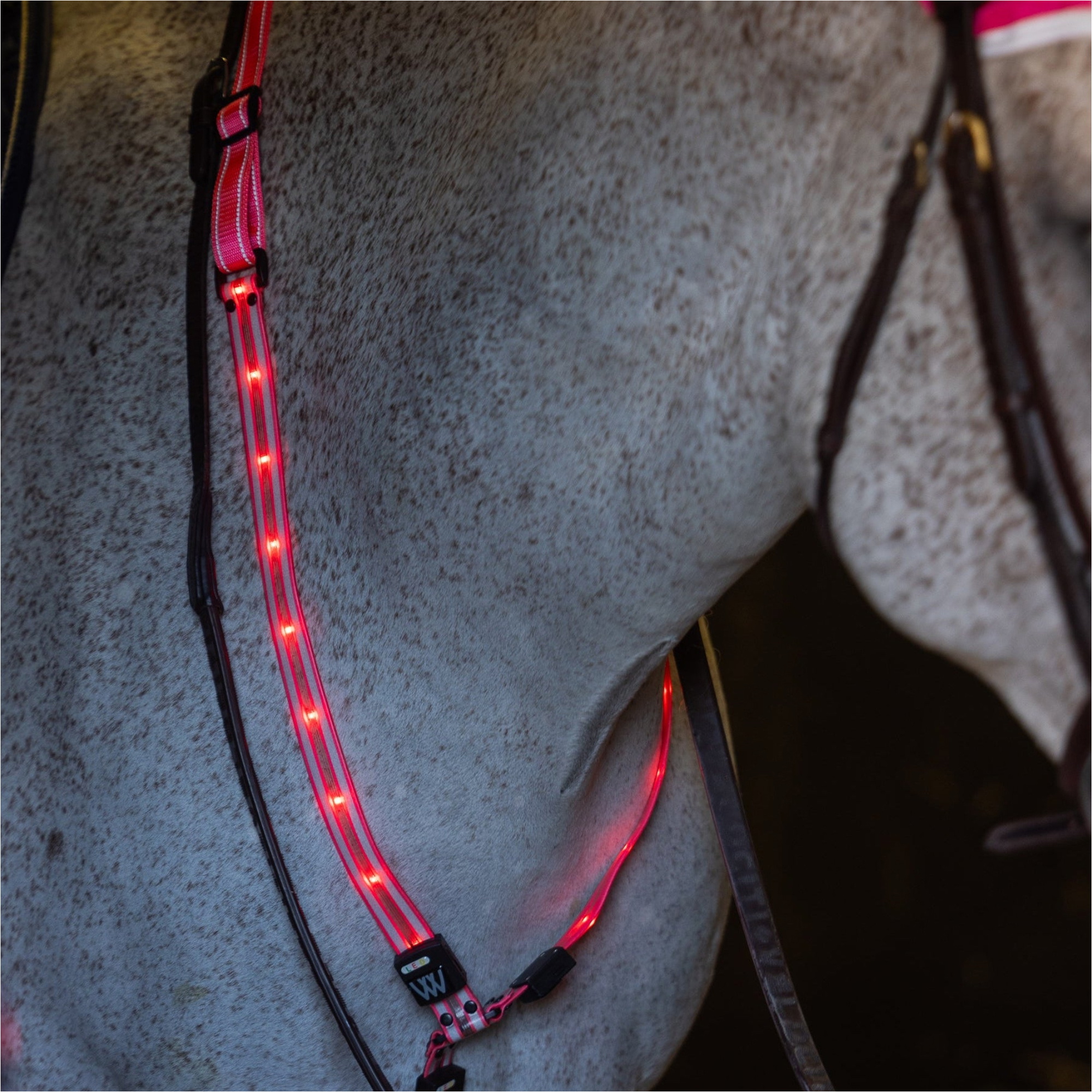 2026 Woof Wear Bandeau LED Pour Le Cou WS0035 - Hi Viz Pink